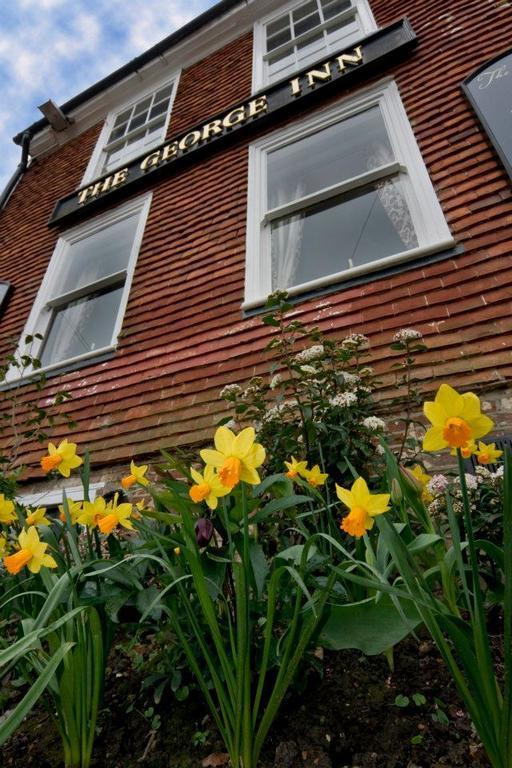 The George Inn Robertsbridge Oda fotoğraf